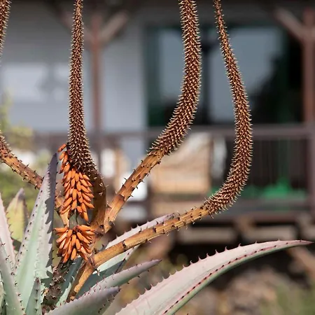 Casa Uva Yaiza (Lanzarote)